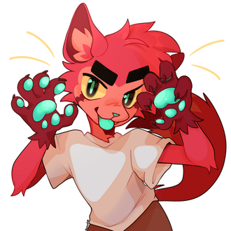 REDKATTO REDKATTO